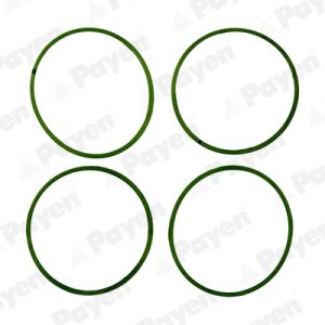 Set garnituri galerie admisie PAYEN HA5032 – CITROEN | AutoRival