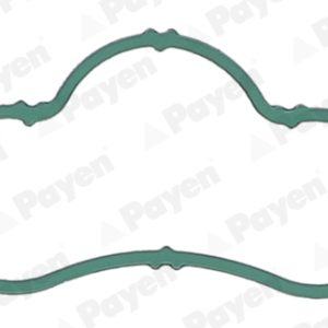 Garnitura galerie admisie PAYEN JD6164 – CITROEN | AutoRival