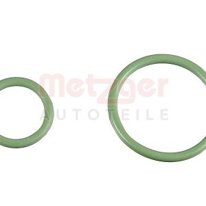 Set garnituri pompa injectie METZGER 0873069 – CITROEN | AutoRival