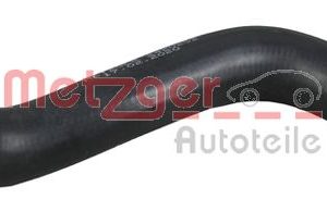 Furtun radiator METZGER 2420252 – CITROEN | AutoRival