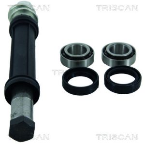 Set reparatie bara stabilizatoare TRISCAN 8500 38400 – CITROEN | AutoRival