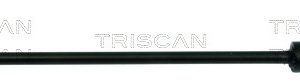 Bieleta antiruliu TRISCAN 8500 38604 – CITROEN | AutoRival