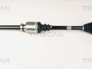 Planetara TRISCAN 8540 10519 – CITROEN | AutoRival