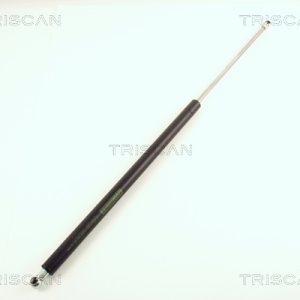 Amortizor portbagaj TRISCAN 8710 38211 – CITROEN | AutoRival