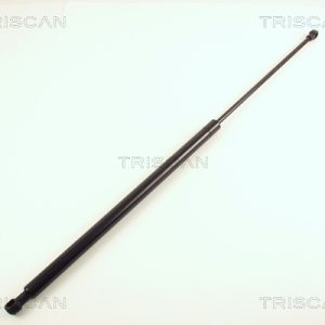 Amortizor portbagaj TRISCAN 8710 38212 – CITROEN | AutoRival