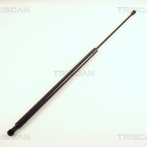 Amortizor portbagaj TRISCAN 8710 38213 – CITROEN | AutoRival