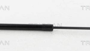 Amortizor portbagaj TRISCAN 8710 38231 – CITROEN | AutoRival