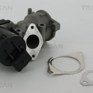 Supapa EGR TRISCAN 8813 10001 – CITROEN | AutoRival