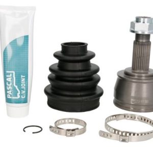 Cap planetara PASCAL G1F065PC – CITROEN | AutoRival