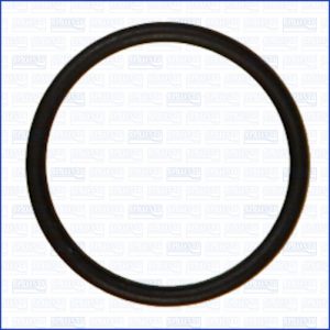 Garnitura pompa combustibil AJUSA 16088400 – CITROEN | AutoRival