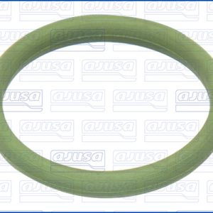 Garnitura galerie admisie AJUSA 28006000 – CITROEN | AutoRival