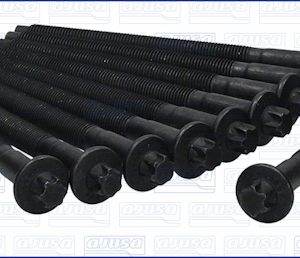 Set surub chiulasa AJUSA 81001300 – CITROEN | AutoRival