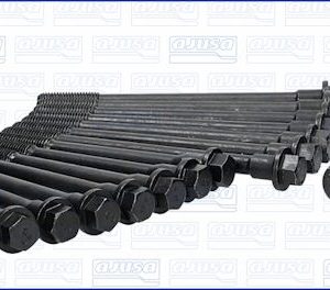 Set surub chiulasa AJUSA 81001400 – CITROEN | AutoRival