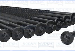 Set surub chiulasa AJUSA 81024600 – CITROEN | AutoRival