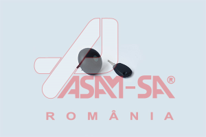 Buson rezervor de combustibil DACIA DUSTER (HS_) 1.5 dCi diesel 86 cai ASAM AUTOMOTIVE 30539