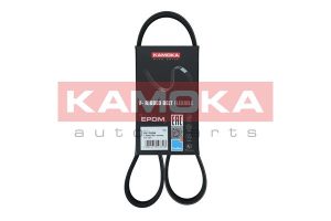 Curea transmisie cu caneluri DACIA DUSTER (HM_) 1.6 SCe 115 LPG (HMM1) Benzina/Autogaz (GPL) 109 cai KAMOKA 7017002