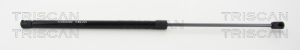 Amortizor capota DACIA DUSTER Autoutilitara/SUV 1.6 16V benzina 105 cai TRISCAN 8710 25110