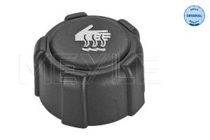 Buson vas expansiune DACIA DUSTER Autoutilitara/SUV 1.6 16V Hi-Flex Benzina/Etanol 105 cai MEYLE 16-14 228 0000