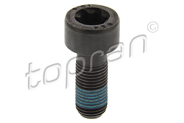 Surub volanta DACIA DUSTER (HS_) 1.5 dCi diesel 109 cai TOPRAN 702 162
