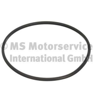 Garnitura capac rezervor DACIA LOGAN pick-up (US_) 1.5 dCi (US0K) diesel 68 cai PIERBURG 3.32038.02.0