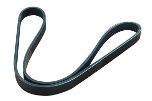 Curea transmisie cu caneluri DACIA LOGAN (LS_) 1.4 (LSOA, LSOC, LSOE, LSOG) benzina 75 cai ASAM AUTOMOTIVE 30691