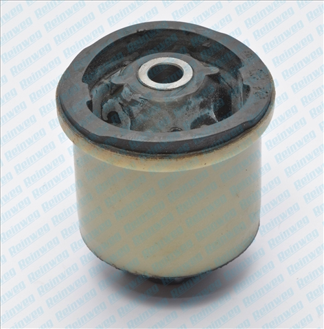 Suport ax DACIA LOGAN (LS_) 1.5 dCi (LS04) diesel 88 cai REINWEG RW68715
