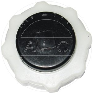 Buson vas expansiune DACIA LOGAN EXPRESS (FS_) 1.6 MPI 85 benzina 84 cai AIC 55733