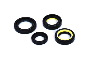 Inel etansare caseta directie DACIA LODGY (JS_) 1.6 SCe 100 (JSAV) benzina 102 cai ASAM AUTOMOTIVE 77048