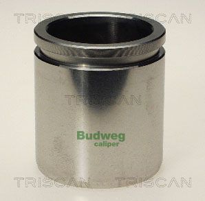 Piston etrier frana DACIA SANDERO 1.4 (BS0C, BS0A, BS0G, BS1F, BS0E) benzina 75 cai TRISCAN 8170 234810