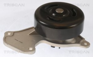 Pompa de apa DACIA SANDERO III 1.0 SCe 65 benzina 67 cai TRISCAN 8600 25095
