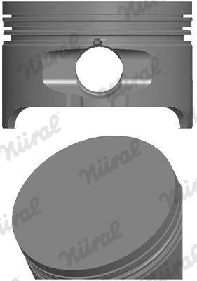 Piston DACIA SANDERO 1.6 Hi-Flex (BS1H) Benzina/Etanol 87 cai NURAL 87-443707-00
