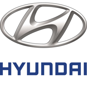 Bujie DACIA LOGAN (LS_) 1.2 16V (LS1N, LS02, BS02) benzina 75 cai OE HYUNDAI 1881411051