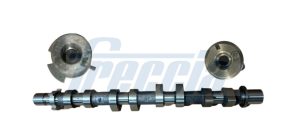 Ax cu came DACIA LODGY (JS_) 1.2 TCe (JSAY, JSM0) benzina 115 cai FRECCIA CM05-2419