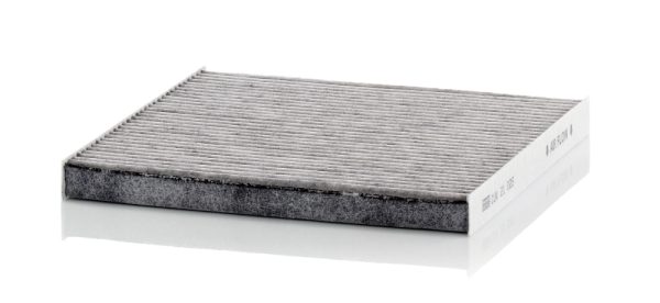 Filtru polen DACIA SPRING Extreme electric 65 cai MANN-FILTER CUK 21 025