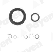 Set garnituri carter DACIA SANDERO II 1.2 benzina 73 cai PAYEN EG7950