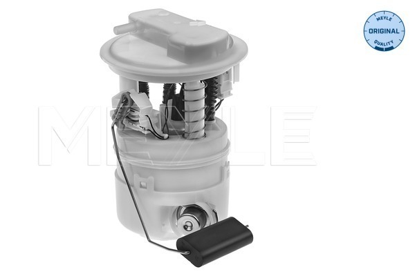 Sistem alimentare cu combustibil DACIA SANDERO II 1.2 benzina 75 cai MEYLE 16-14 919 0017