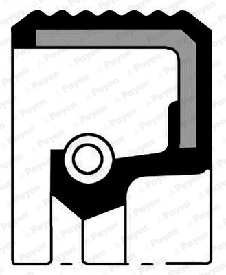 Simering arbore cotit DACIA LOGAN (LS_) 1.6 Bifuel Benzina/Autogaz (GPL) 84 cai PAYEN NA5016