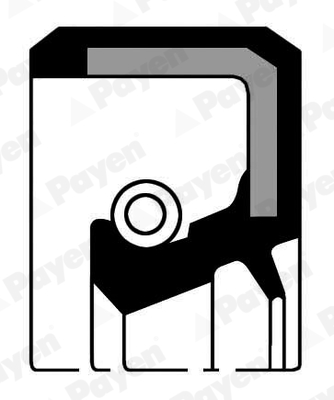 Simering arbore cotit DACIA LODGY (JS_) 1.6 SCe 100 (JSAV) benzina 102 cai PAYEN NJ449