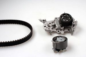 Set pompa apa + curea dintata DACIA SANDERO 1.0 Hi-Flex Benzina/Etanol 76 cai HEPU PK09540S