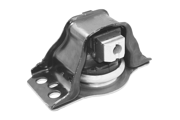 Suport motor DACIA LOGAN EXPRESS (FS_) 1.5 dCi (FS0K) diesel 68 cai TEDGUM TED37004