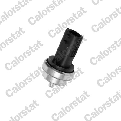 Senzor temperatura lichid de racire DACIA SANDERO 1.5 dCi diesel 86 cai CALORSTAT BY VERNET WS3019