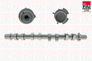 Ax cu came FAI AUTOPARTS C539 DACIA DUSTER AUTOUTILITARA/SUV 1,197 cmc (H5F 410) benzina 125 FAI AUTOPARTS C539