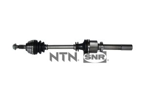 Planetara SNR DK55.083