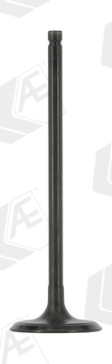 Supapa admisie AE V95272