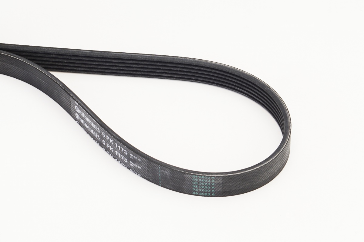 Curea transmisie cu caneluri CONTITECH 6PK1173 DACIA LOGAN MCV II 1,461 cmc (K9K 872) diesel 95 CONTITECH 6PK1173