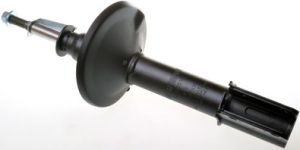 Amortizor DENCKERMANN DSB051G