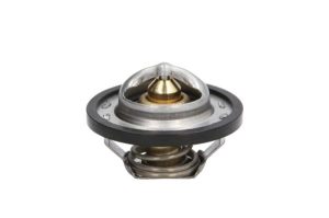 Termostat lichid racire THERMOTEC D2R001TT
