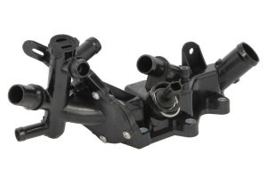 Termostat lichid racire THERMOTEC D2R022TT