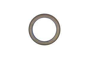 Simering arbore cotit KAMOKA 8707198