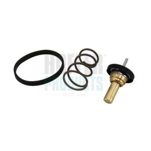 Termostat lichid racire HOFFER 8192952